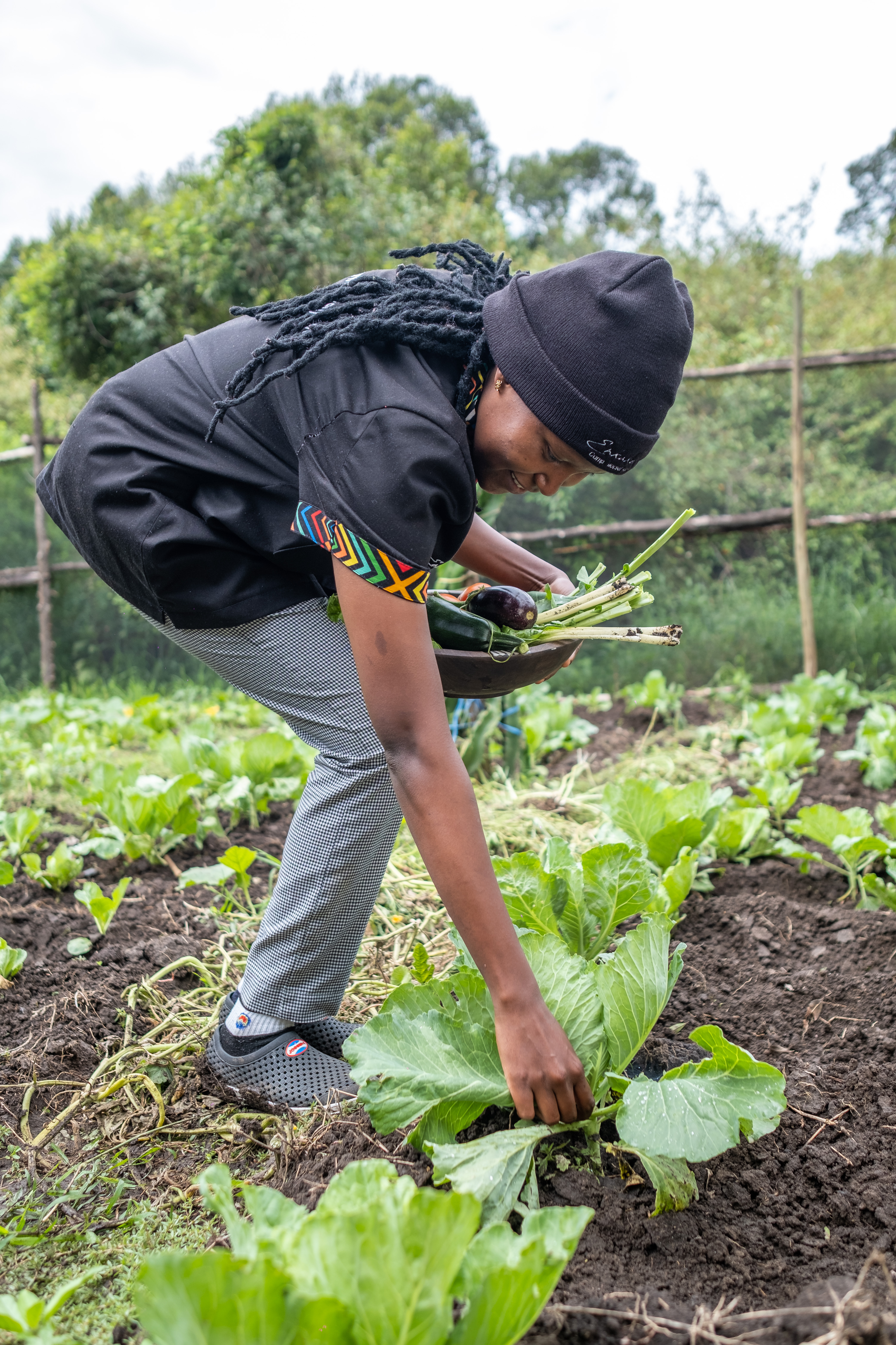 Enkakenya head chef harvesting from the organic garden at dawn